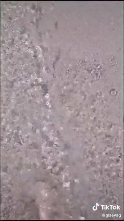 Let's go to the beach