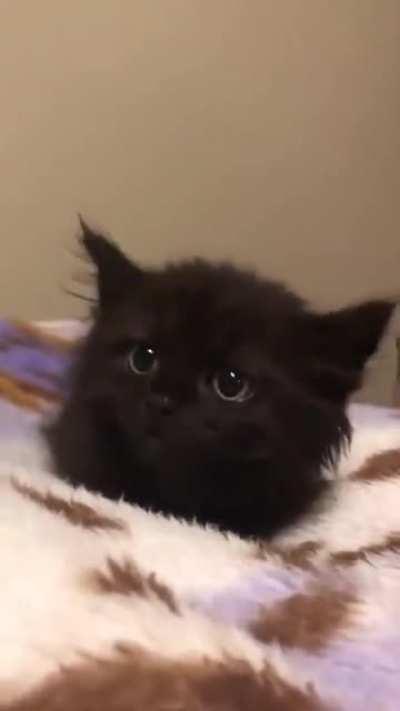 Your so cute really really cute