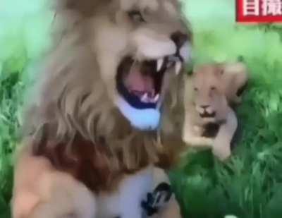 No explanation need why women live longer than men with this video.