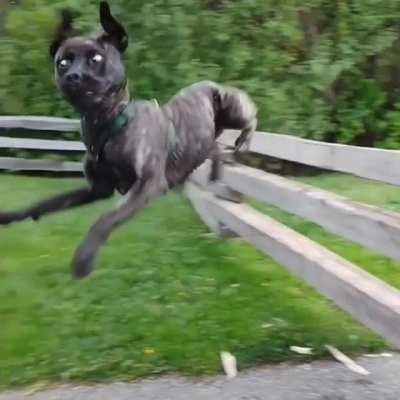 Atleast the landing was good