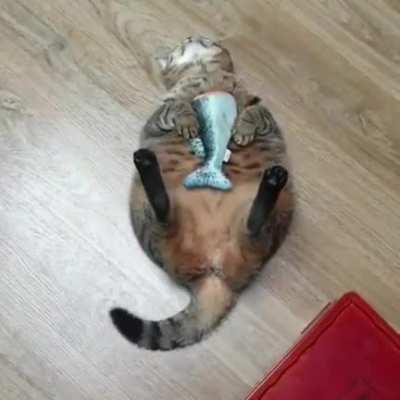 HEY DON'T PLAY ROUGH