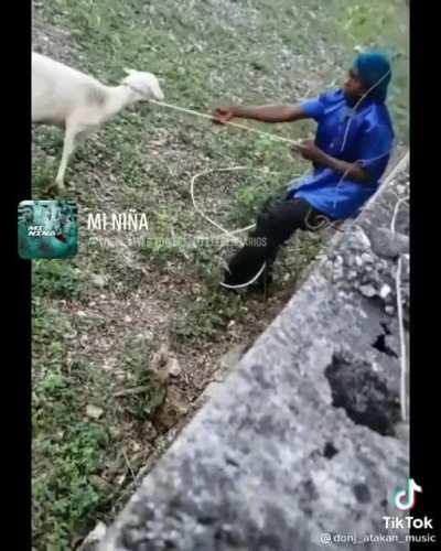 Un título interesante