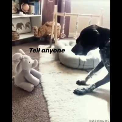 the elephant in the room