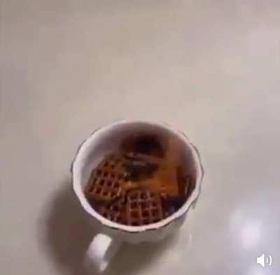 🏴󠁧󠁢󠁥󠁮󠁧󠁿☕️🏴󠁧󠁢󠁥󠁮󠁧󠁿