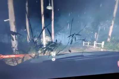 Still can't get over that time I ran Jason over with the car.