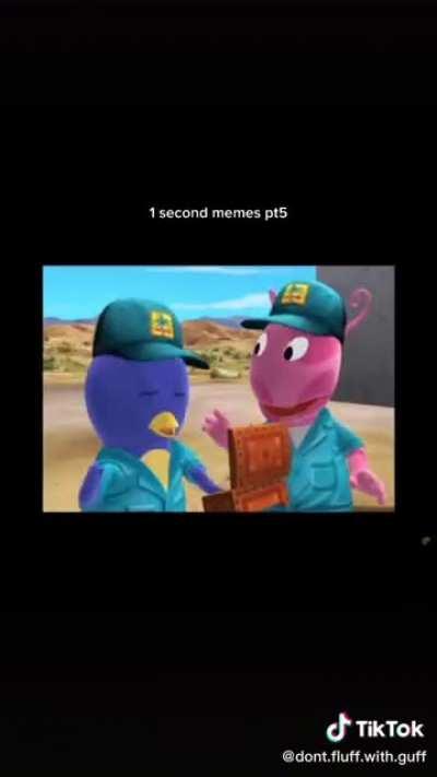 1 SECOND MEME COMPLICATION