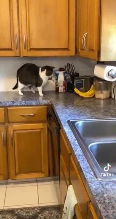 Banana greebles can Dole it out but they can’t take it