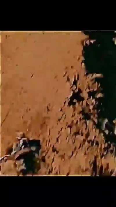 damnn( •̀ .̫ •́ )