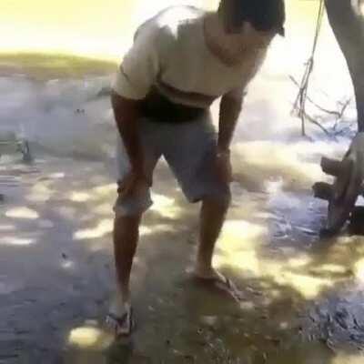 Yeah, i'm just gonna touch this electric eel with my bare hands.