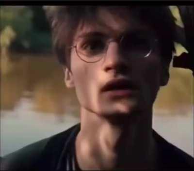 I think I downloaded the wrong Harry Potter movie