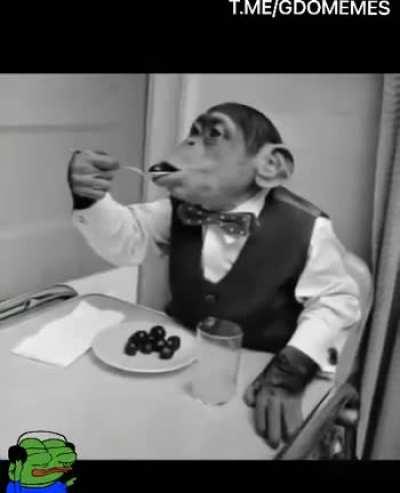 drip monkey, do i need extend?