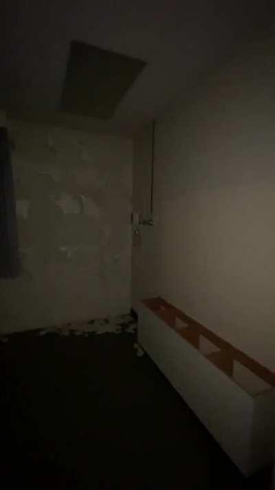 What was it showing me?