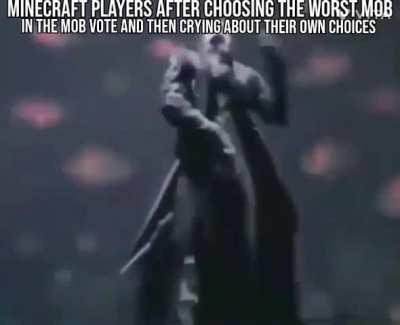 Minecraft players belike