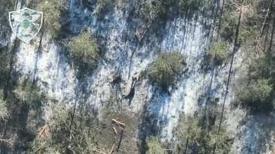 Russian artillery hits several Ukrainian soldiers at Kremmina forest