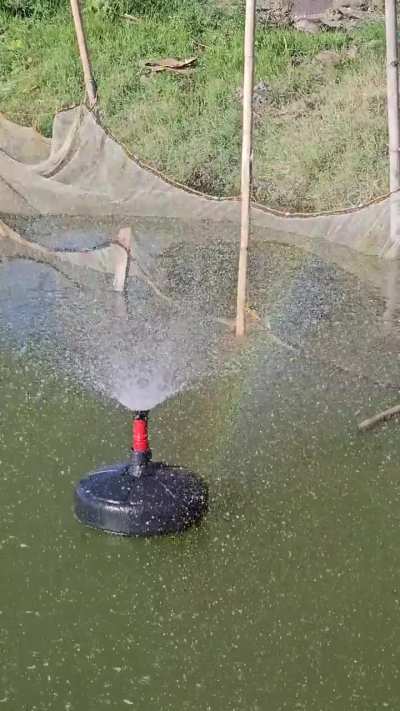 Created a solar powered aerator