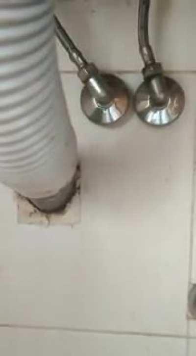 me quiere cagar el plomero?