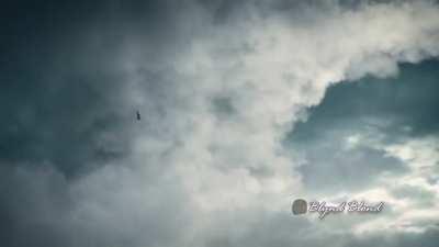 GTAV Expanded and Enhanced leaked footage (REAL)