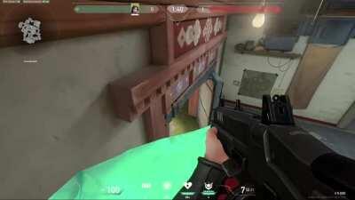 Insane sage wall for defending HAVEN double doors