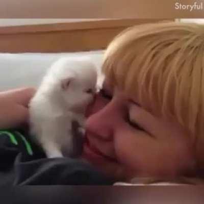 ماچ ماچک حیوانات