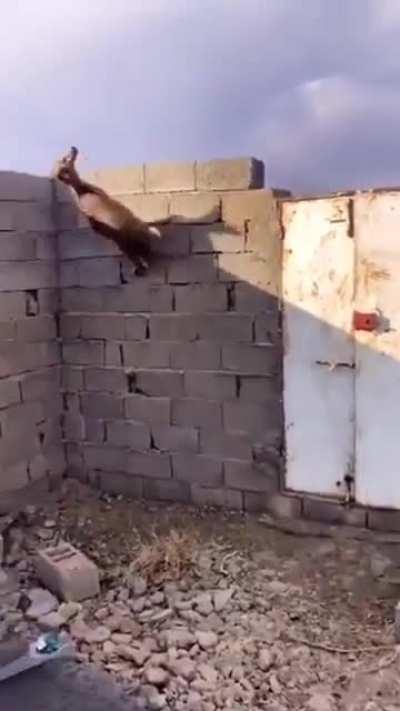 When you know physics