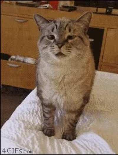 Build up to an epic sneeze