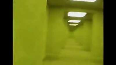 How long do you think you’ll survive ?