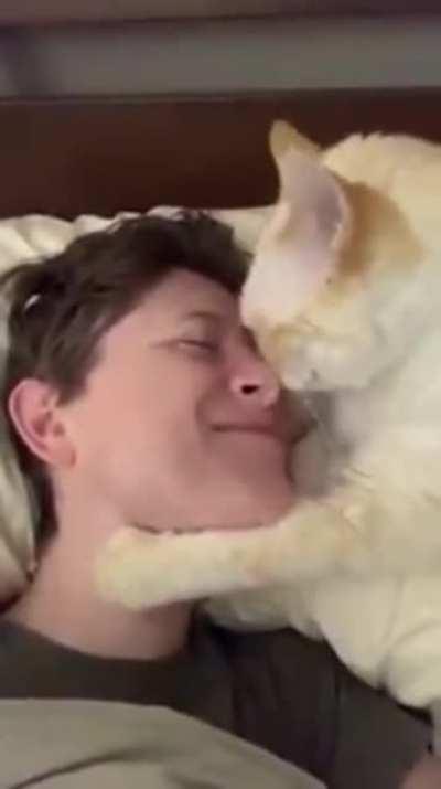 Cat just wants to touch tha face