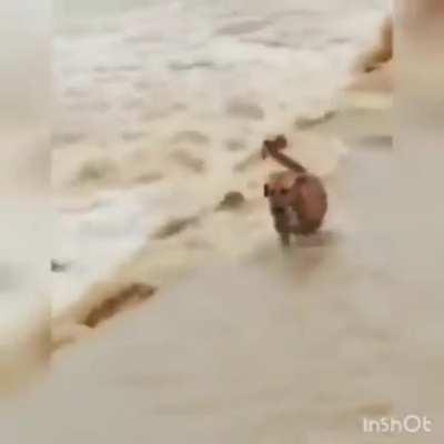 la vida real es irreal