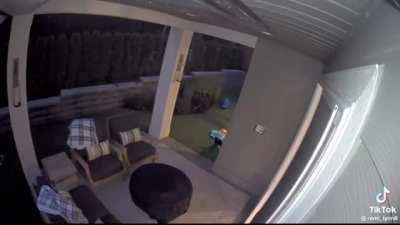 Survival instincts not strong