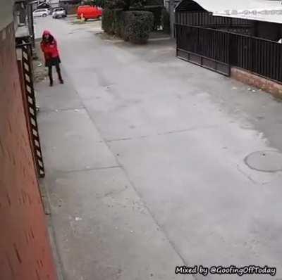 Dog saves girl from a kidnapper.