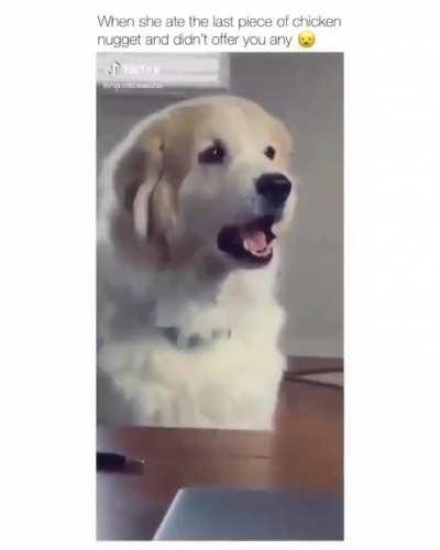 and you say I am the bitch???