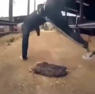 Idhar kya kar raha hai, Patakhe phod!