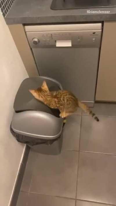 Sent to the shadow realm