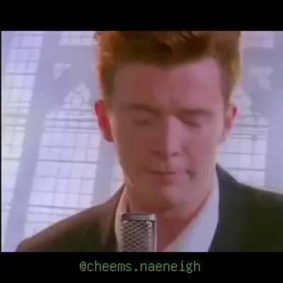 what will cheems do next?