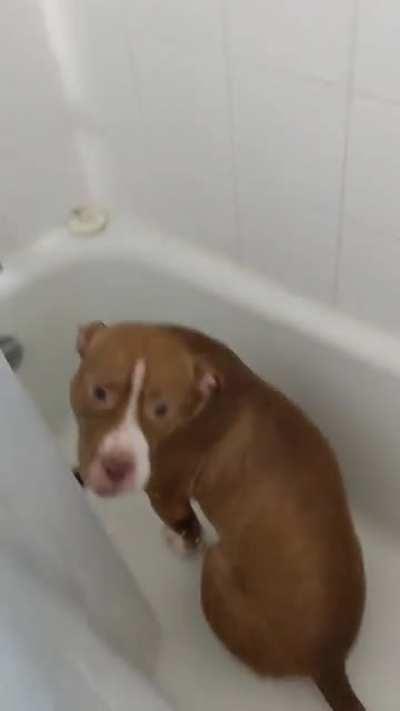 well well well, what do we have here? 😂