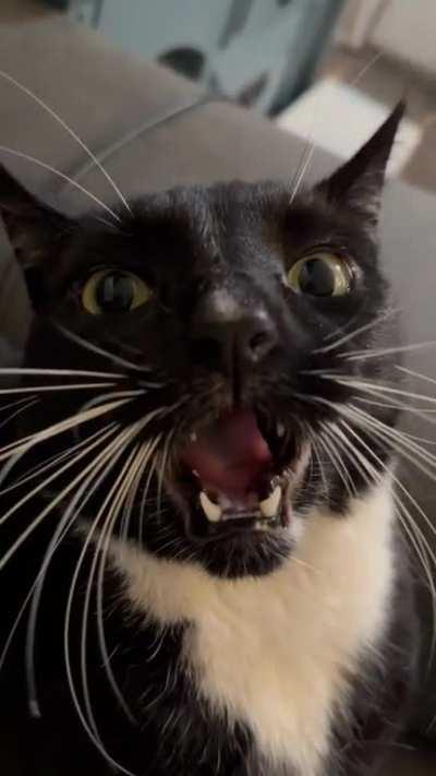 Temporarily shut down...rebooting