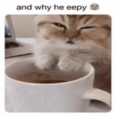 He so eepy