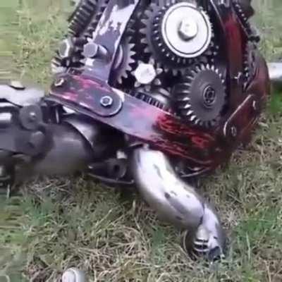 Mechanical tortoise
