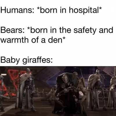 You’re shorter than I expected