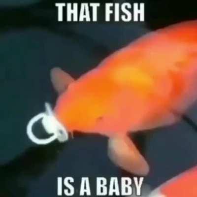 that fish is a baby