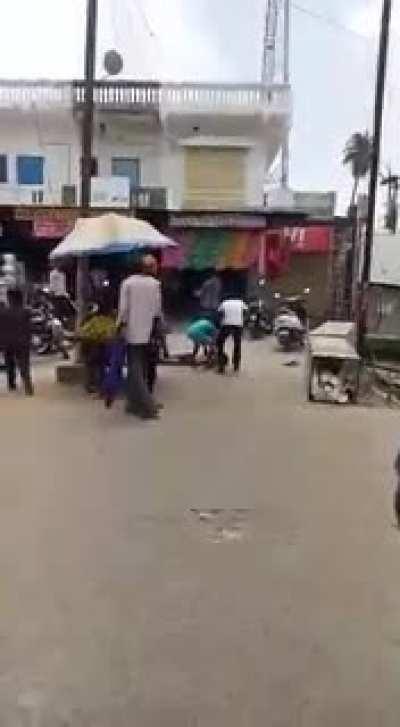 WCGW trying to rescue a bird