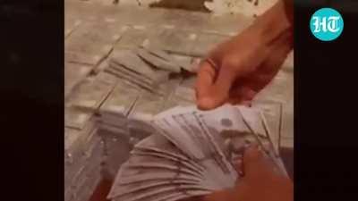 Biden's Ammu Nation commercial