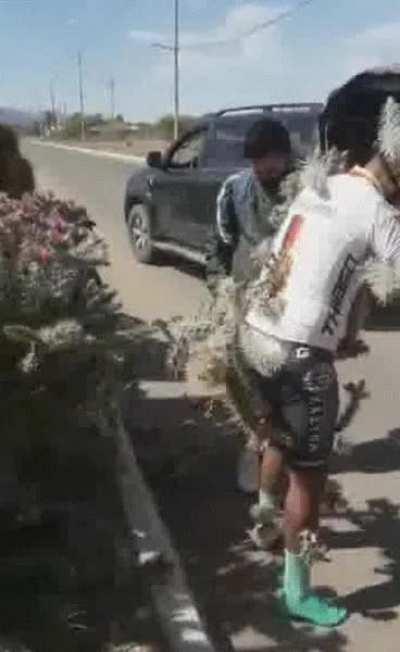 Что может быть безопаснее велогонки в пустыне, никаких гор, пропастей и уклонов, говорили они...