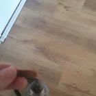 So my girlfriend tried the cat challenge... not the outcome we'd expect but it gave us a good laugh.