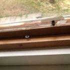 He got stuck to the pillow