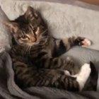 “Ma! Don’t forget the teddy!”