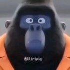 Illumination best studio