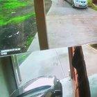 Home invasion gone wrong - Melbourne Australia