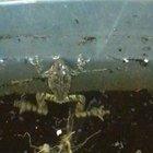 I DIDNT THINK HE COULD GET OUT