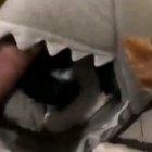 This seems like a good spot